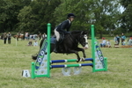 Ring 1 - Jumping portfolio