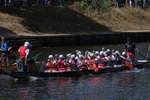 THE YORK ROTARY DRAGON BOAT CHALLENGE 2026 - 145 of 426