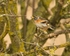 20110319-IMG_2419