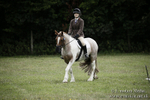 BVRC Novice Dressage & CR 08/09/18 portfolio