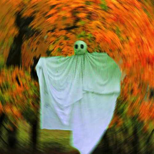 A ghostly apparition emerges out of a forest of sugar maples.