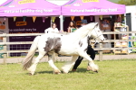 SBM_08554