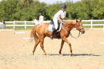SBM_010089