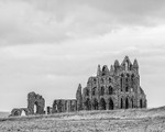 Whitby Abbey (1)