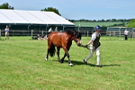 SBM_08062