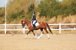 SBM_017626