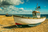  Beached Boats Dungeness  4670