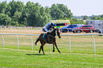 150726-Race 3-Lady Dublin-3195