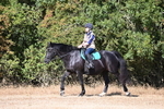 WJ6_7342