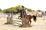 SBM_000981