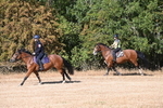 WJ6_7566