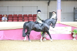 SBM_08721