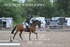 BPP_9689