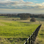 Wimpole 23Nov20 - 10