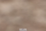 250622-123202-15195