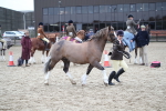 SBM_007264