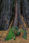 Batsford  - 11