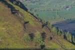 Lords Seat-16