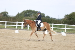 SBM_016761