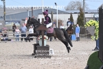 BPP_1266