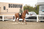 SBM_16853
