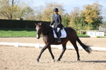 Unaffiliated Dressage portfolio