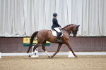 SBM_001512