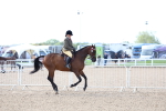 SBM_09121