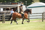 SBM_07658