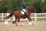 SBM_012008