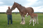 ryecroft-3