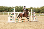 SBM_007297