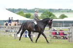 SBM_16151