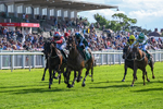 310526-Race 5-Fandom-9082
