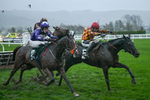 141125-Race 6-Frontier Prince-1517