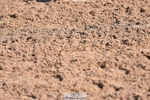 230511A-094306-00104