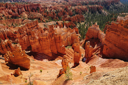 Bryce Canyon National Pk.- 2011 portfolio