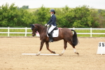 SBM_004973