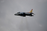 HARRIER 09