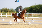 SBM_008147