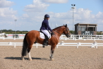 SBM_03850