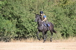 WJ6_6765