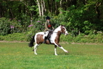 Working Hunter Championship portfolio