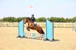 SBM_000781