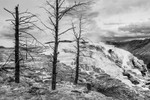 Mammoth Hotsprings