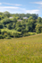 Hillside Cottages