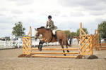 SBM_16597
