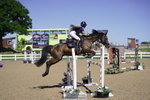 Cls 28 BS Pony 1.15m portfolio