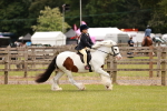 SBM_06236