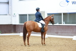 SBM_004990